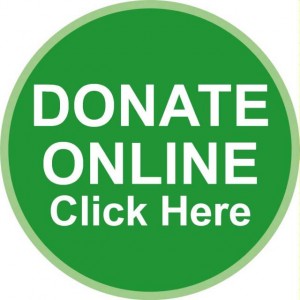 donate-online