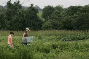 Home-Sweet-Farm-July-Hanon-Field