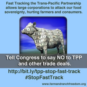 Stop Fast Track