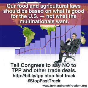 Stop Fast Track 