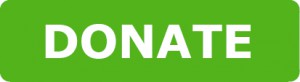 green donate button