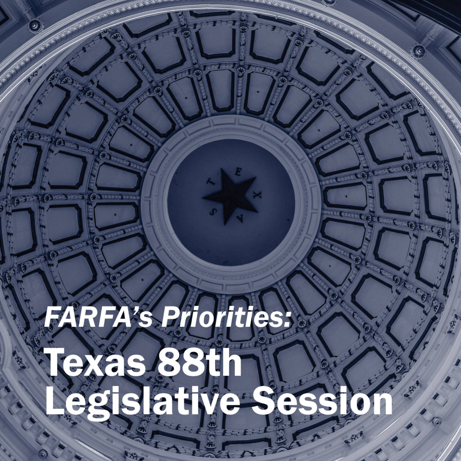 Priority Issues For The 2023 Texas Legislative Session - Farm And Ranch ...