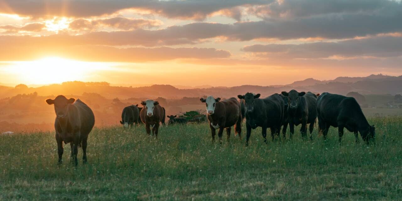 Farm and Ranch Freedom Alliance 40